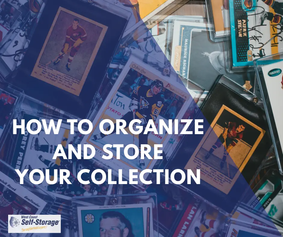 How to Organize and Store Your Collection