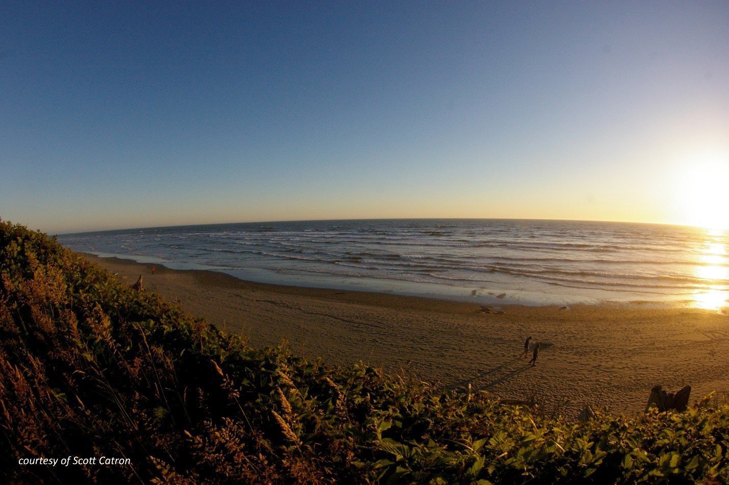 Kalaloch_beach - courtesy of Scott Catron Kalaloch_beach - courtesy of Scott Catron